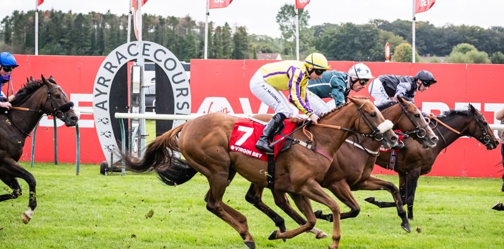 A photograph of horses racing at Ayr Racecourse.