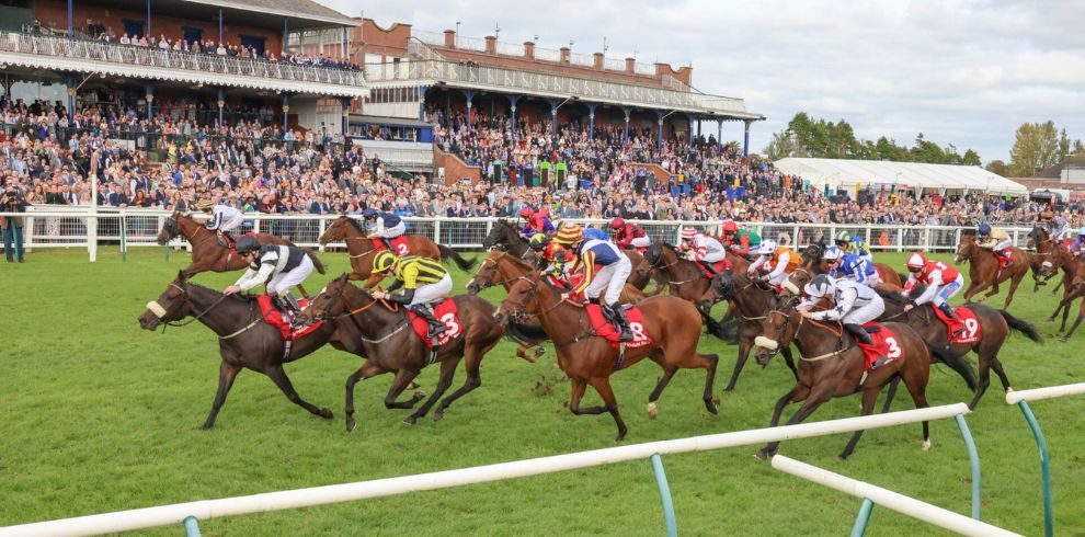 A photograph of horses racing at Ayr Racecourse.