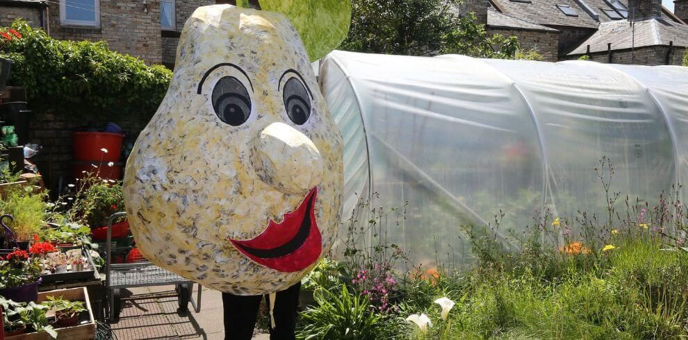 Person in a potato costume standing next to a poly tunnel in a garden.