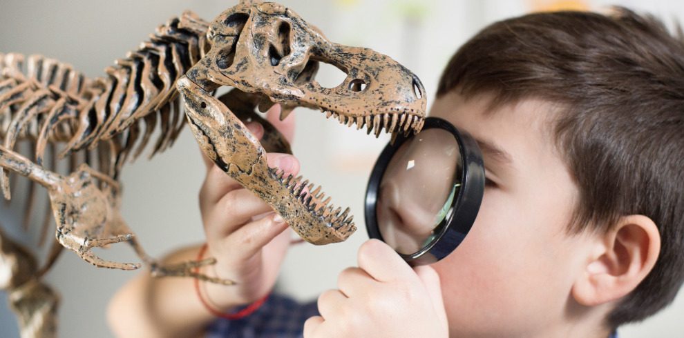 Child using a magnifying glass to look at a fossil